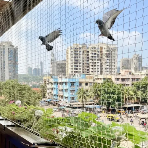 Bird netting installation