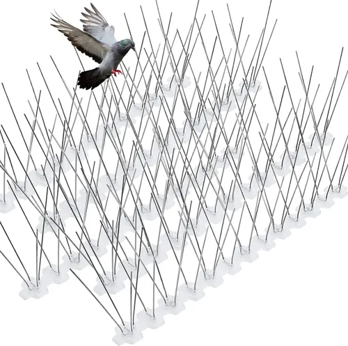 Bird spike installation